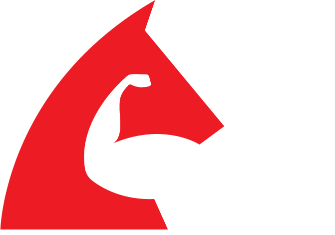 Aiportlogistics